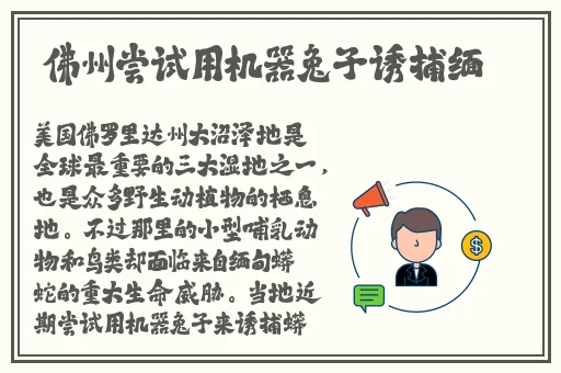 好用快递单打印软件